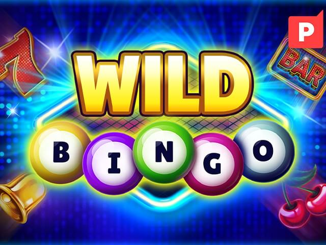 560bet Bingo Selvagem